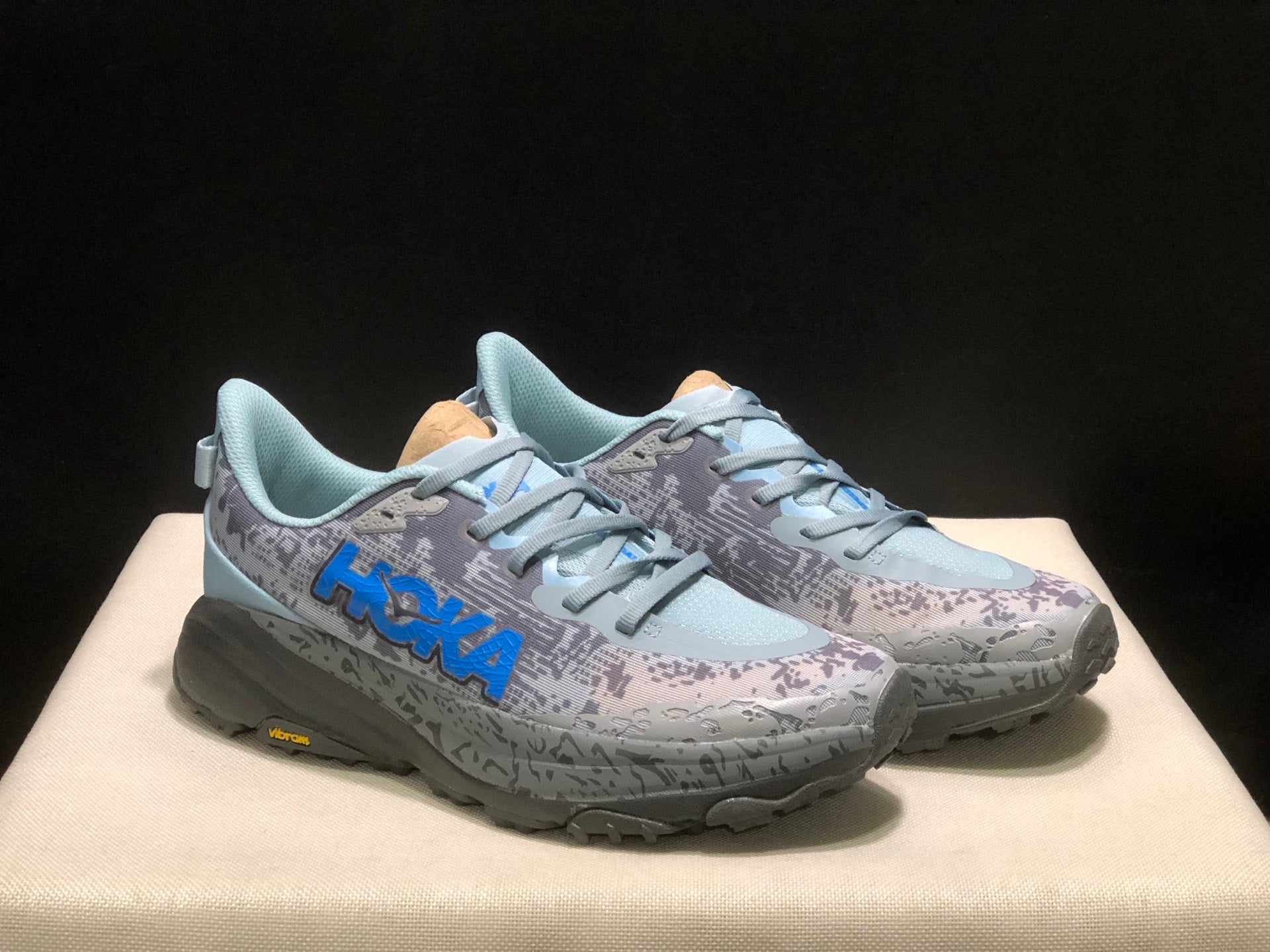 HOKA ONE ONE SPEED GOAT 6