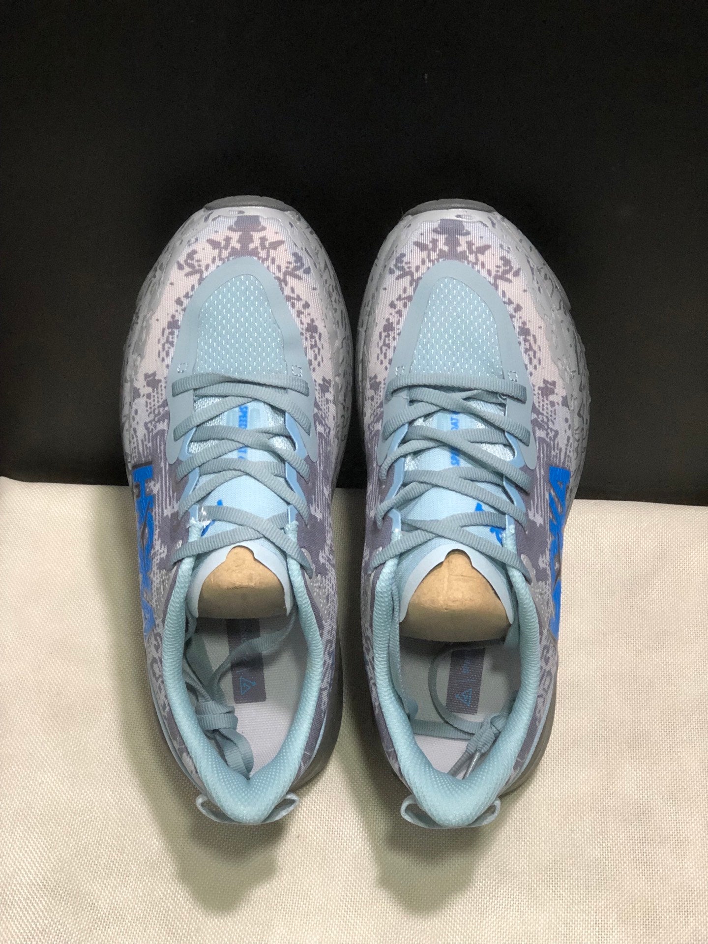HOKA ONE ONE SPEED GOAT 6