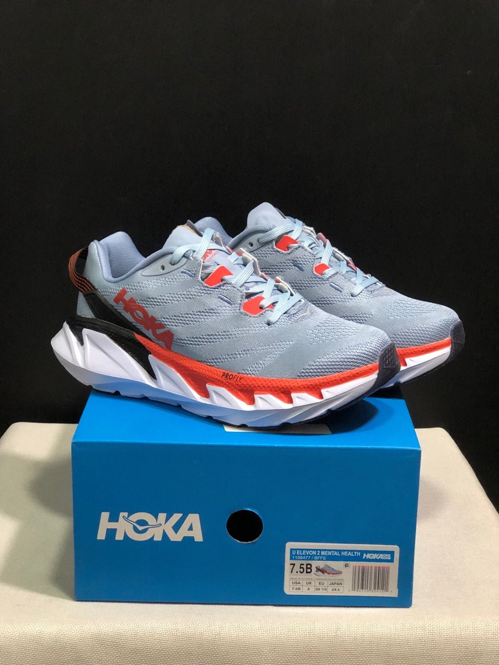 HOKA ONE ONE Elevon 2